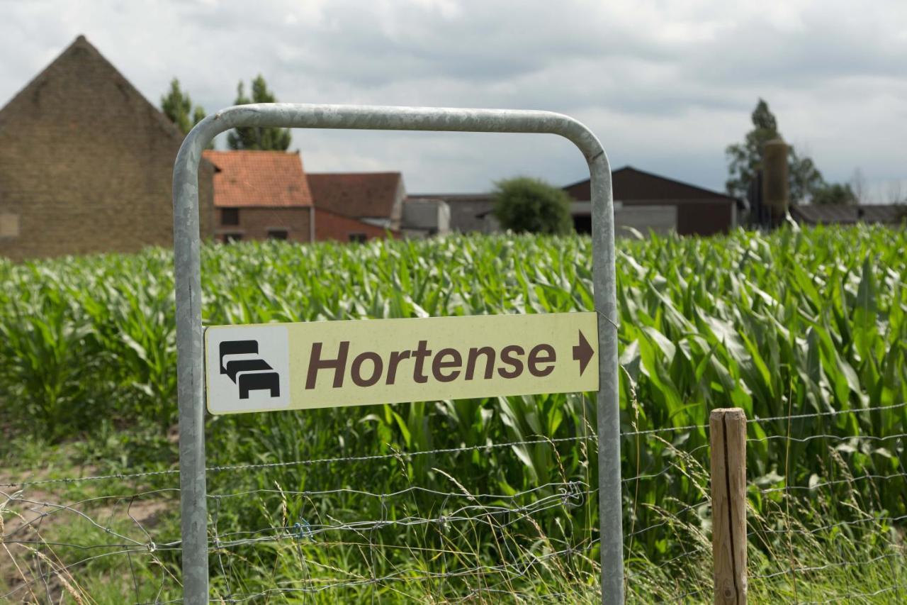 B&B Hortense Koekelare Bagian luar foto