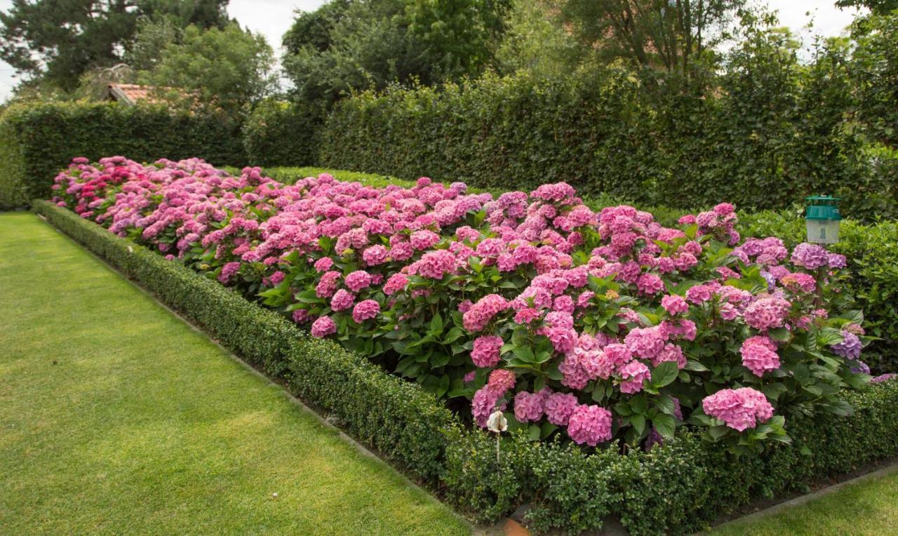 B&B Hortense Koekelare Bagian luar foto